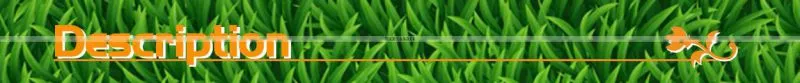 20L Hot Sale Manual Pressure Garden Sprayer