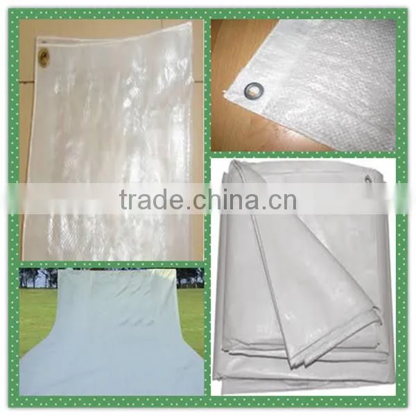 Plasitc tarpaulin with eyelet,waterproof and dust proof tarpaulin stand