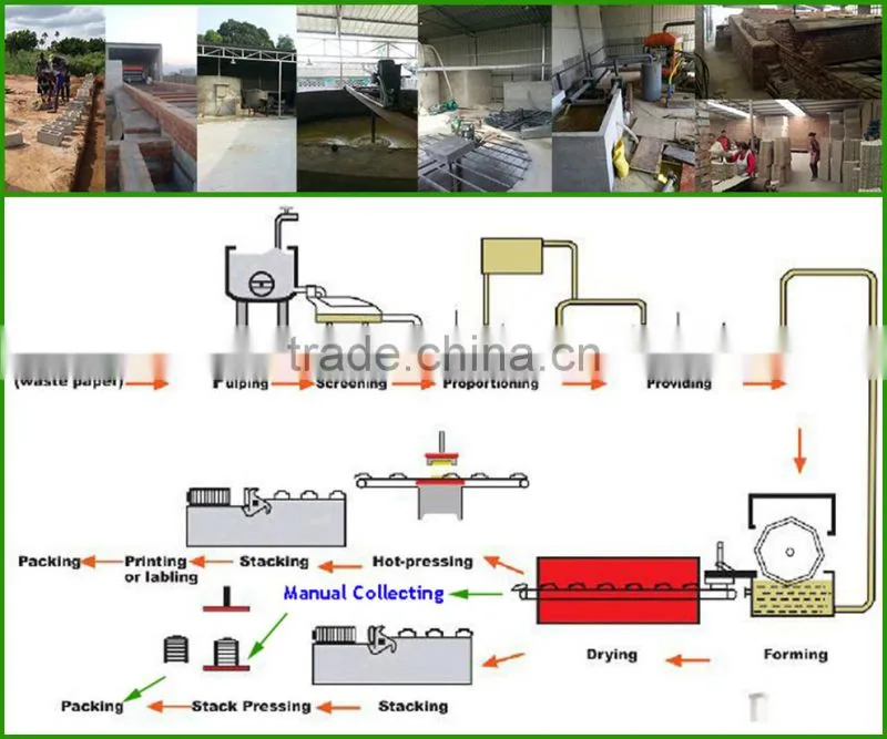 Pulp Egg Machine Making Egg Tray Producing Moulding Machine