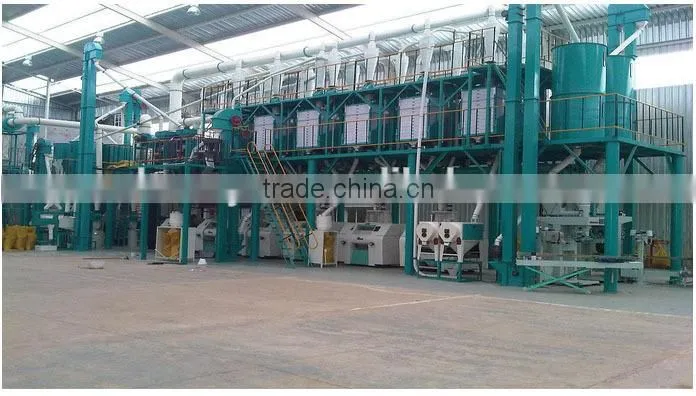 European standard 100tpd maize flour mill for maize grits and flour