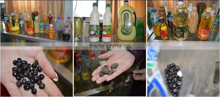 Adopt Advanced Technolagy Vegetable Oil Refining Plant