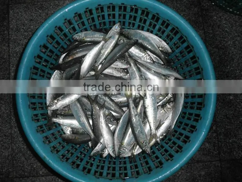 Top Quality fried sardines spicy tausi in can from taiwan of CE Standard