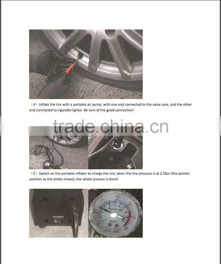 Auto Tire /Tyre sealant repair kit
