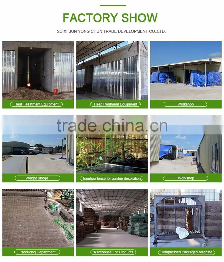 Cheap factory direct supply Agriculture garden PVC Coated pole and Color Bamboo Cane