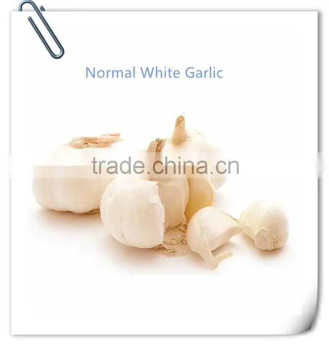 2016 new crop fresh garlic in 10kg mesh bag and carton China export garlic