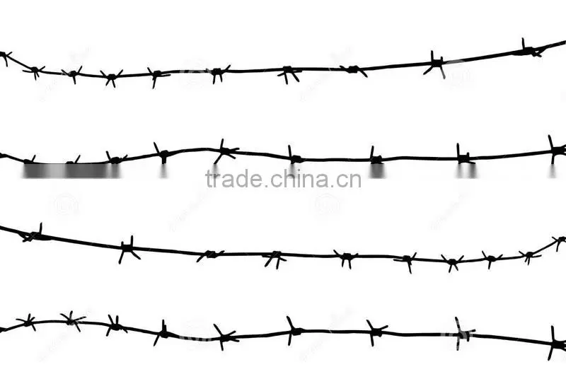 protection hot dip 14 gauge galvanized barbed wire