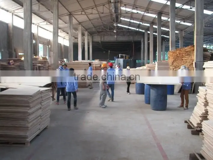 1220x2440, thichness 4-30mm Commercial/Construction Plywood