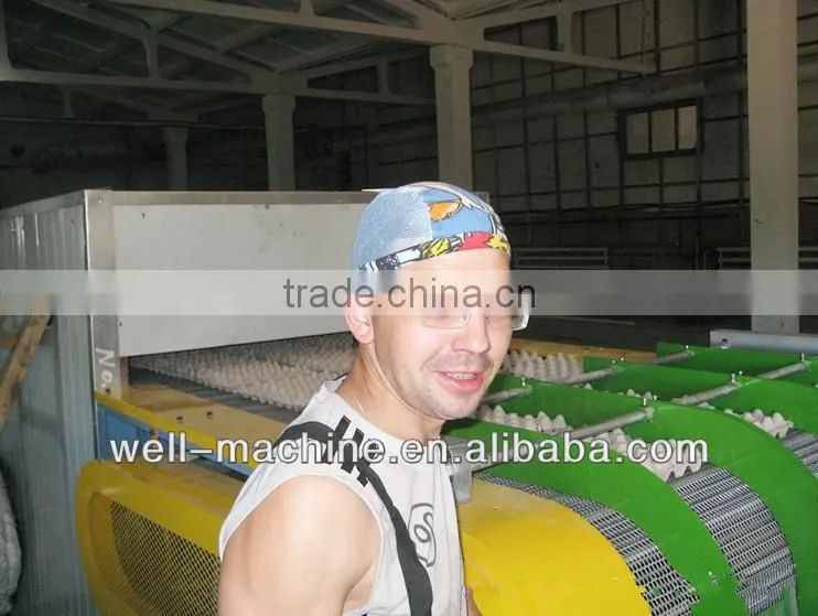 Hot sale low cost paper egg tray molding machine