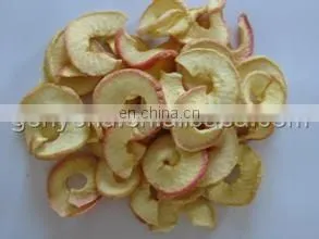 shanghai dryer machine for drying mango