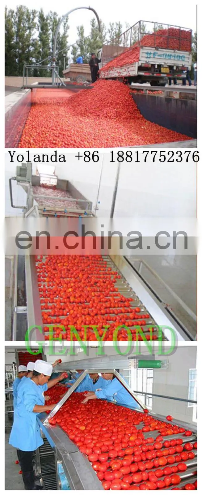 factory price tomato sauce processing line