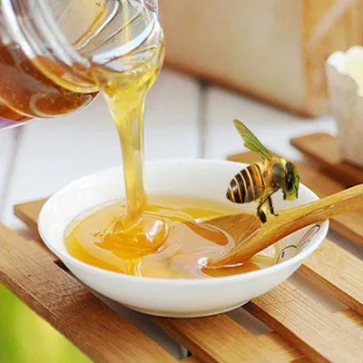 Natural Honey Bee Processing Making Machine With Good Price