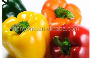 Best Selling Red Chilli Drying Machine /fruit Drying Machine
