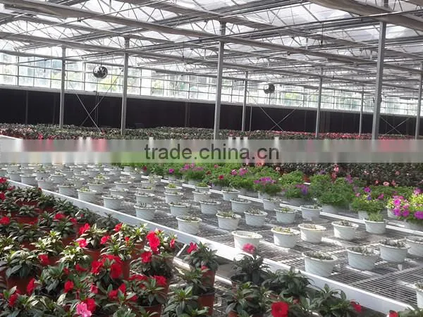 Low Commercial Greenhouse Cost