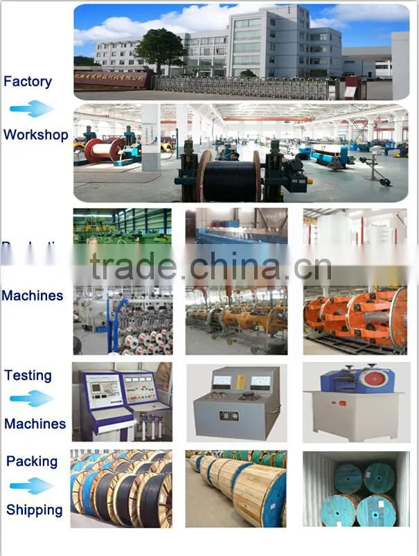 Multipair Cable , Multicore Cable, pvc Insulated Wire bvv rvv for construction