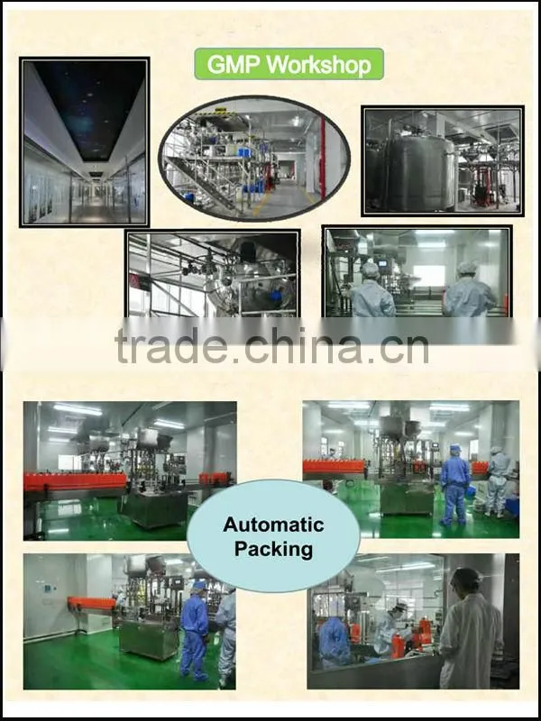 25kg Package Non Dairy Creamer For Milk Tea of China