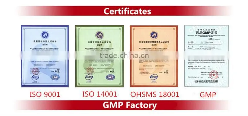 Chinese Organic Natural Herbs Lingzhi P.E. Extract GMP factory