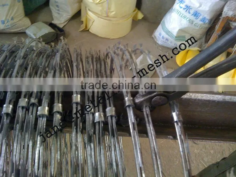 stainless concertina razor barbed (factory)
