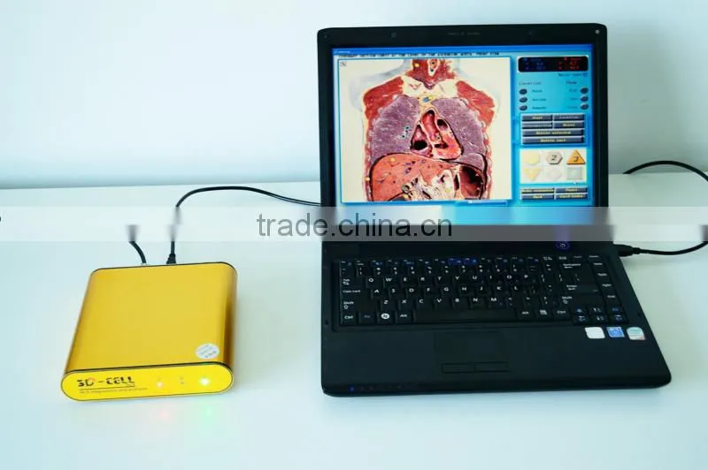 Popular 3D NLS health analyzer body tester with repair and therapy functions