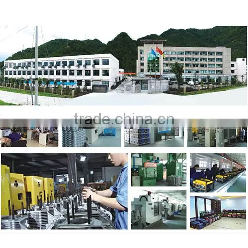 12kVA Cummins Engine Generator Set for Egypt