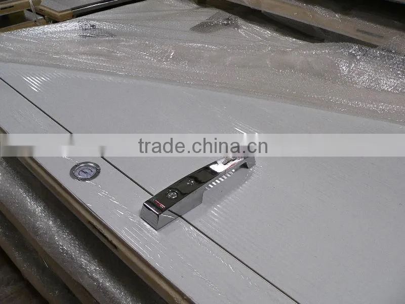 Cold room door/ PU insulation door/ doors for freezer room