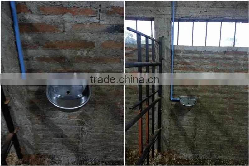 cattle bowl
