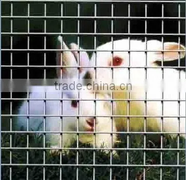 galvanized welded wire mesh livestock panel