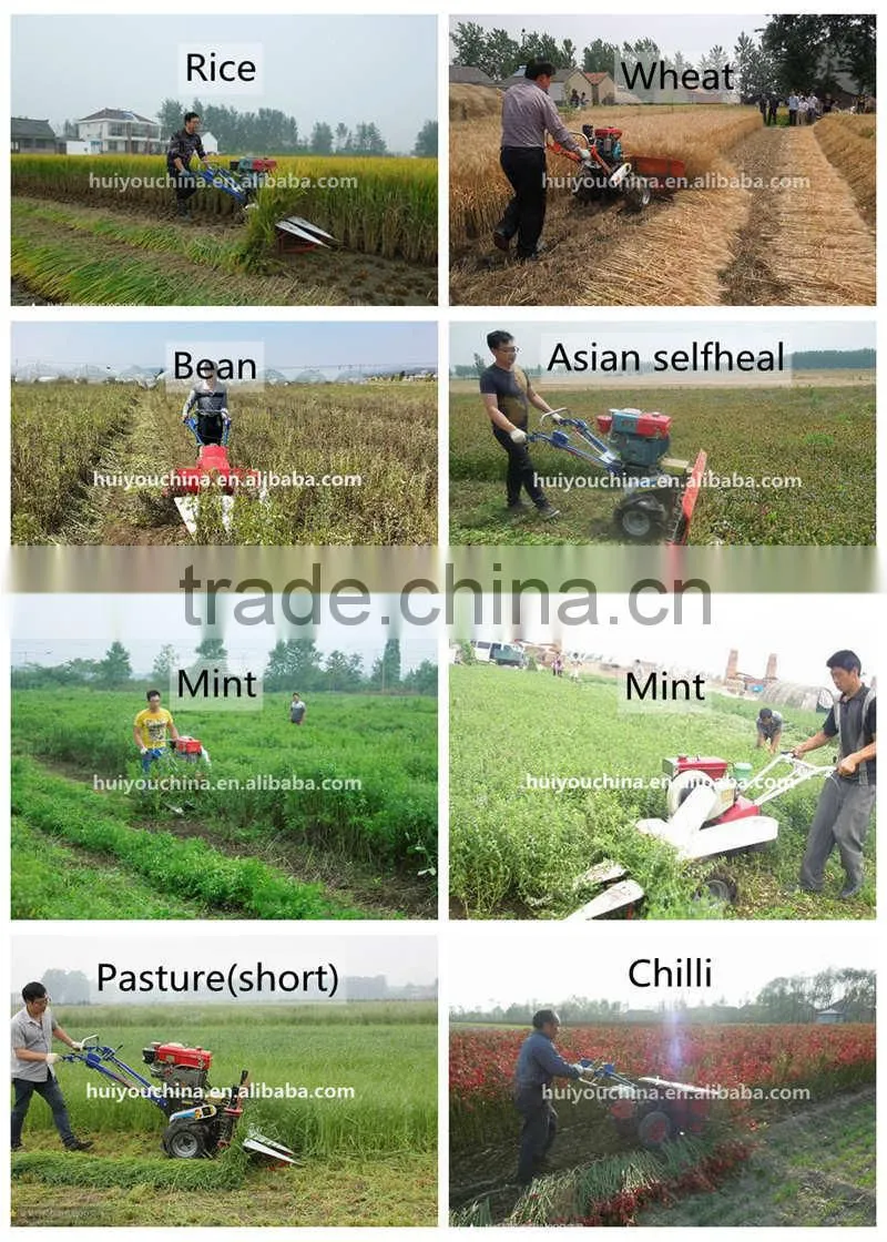 120cm Corn harvester , Maize corn harvester , Sweet corn machine .