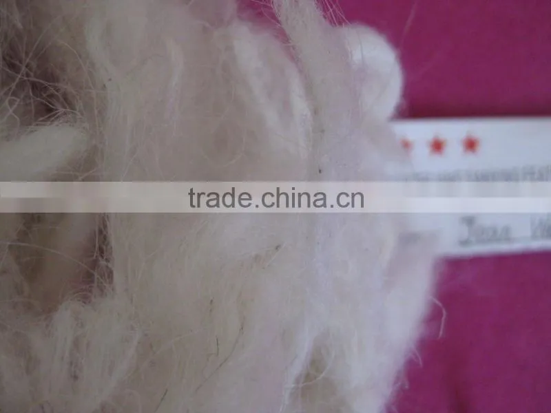 Chinese fleece sheep wool, Mogolian sheep wool, 28-32mic&70-110mm, raw white color