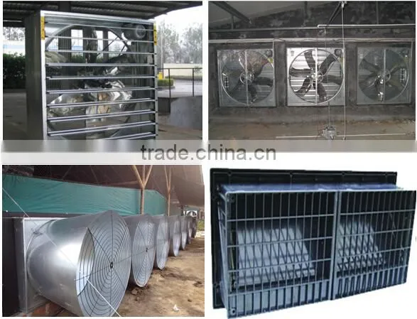 chicken house broiler rearing equipment