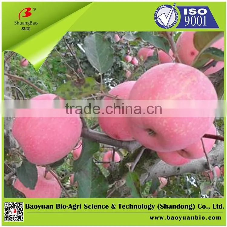 Water Soluble Fertilizer Containing Humic Acid 10-5-17