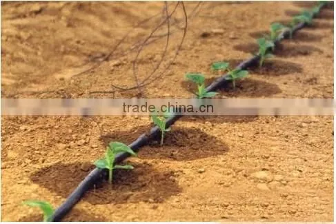 Flat and Emitter Drip Tape Irrigation With Thickness 0.30MM