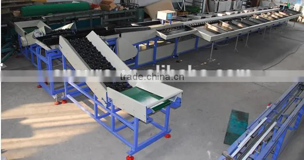 Pitaya Grading Machine Sorter Grader