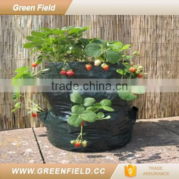 grow bags strawberry garden products used nursery pots 2017 new