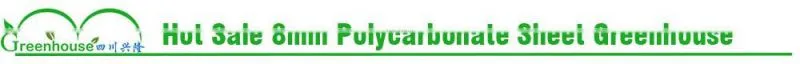 high quality polycarbonate tunnel greenhouse for sale