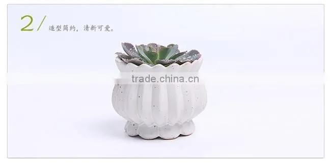 New design succulent plants ceramic indoor planters