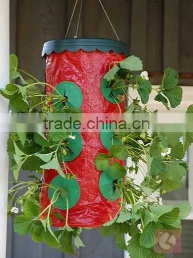 Strawberry planter,Plastic garden Topsy turvy planter as seen as on tv