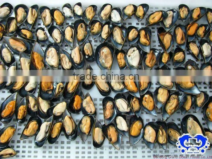 bleu mussel with half shell