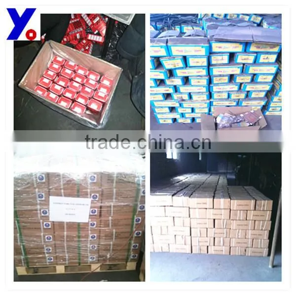 polished common nail factory nail