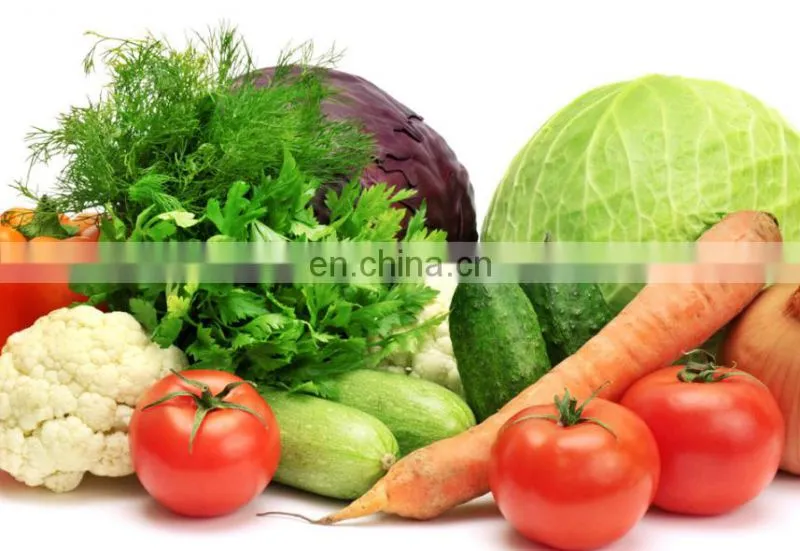Electric vegetable and fruit washing machine for fresh fruits and vegetables