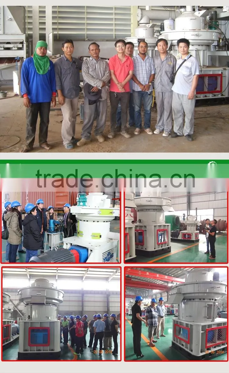 China 2.5-3T/H Biomass Wood Pellet Plant
