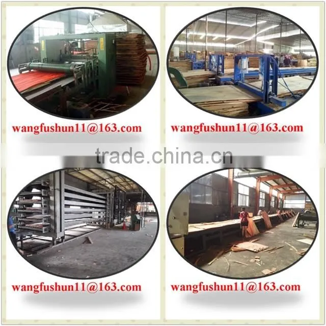 poplar lvl made in china/poplar lvb made in china/poplar for malaysia packing