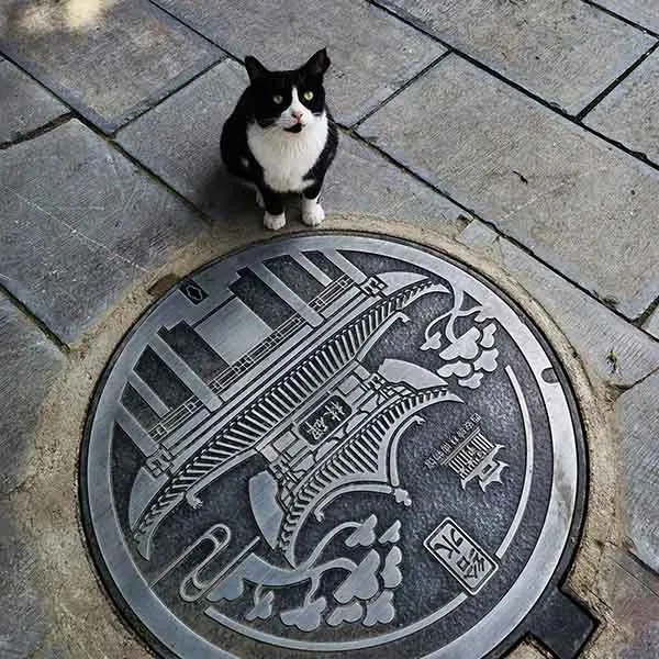 Aluminum alloy combined type artistic manhole cover3