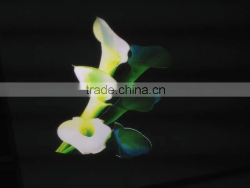 LEDY LED 20w logo gobo 8m short ditanc advertising outdoor interactive projector