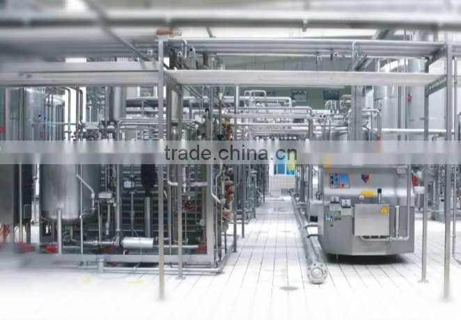 Customized Milk Production Line