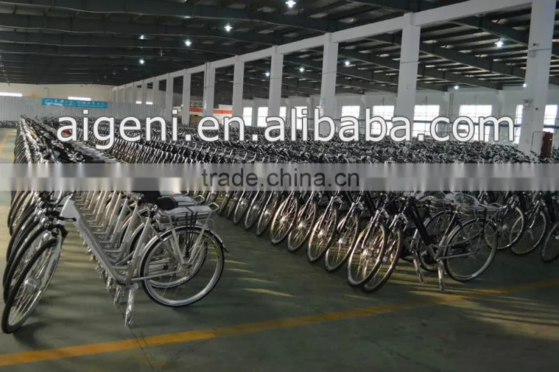 Low entrance electric bike ebike with CE approved