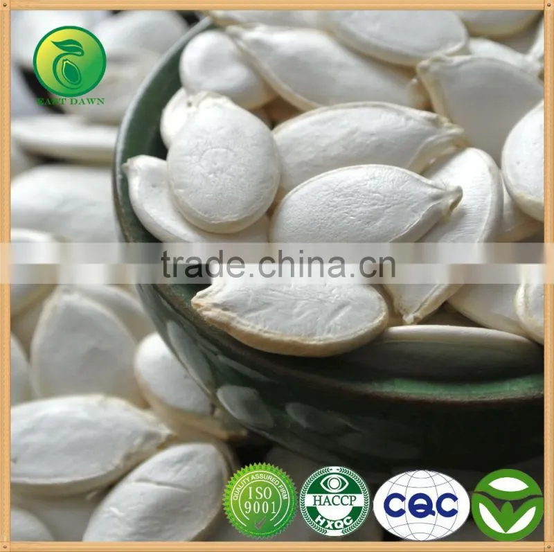 Chinese Cheap Sunflower Seeds For Sale