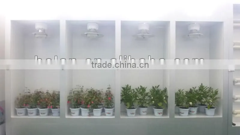 plant grow