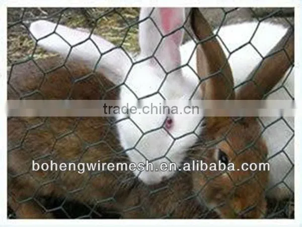 Hot sale hexagonal wire mesh for poultry fence