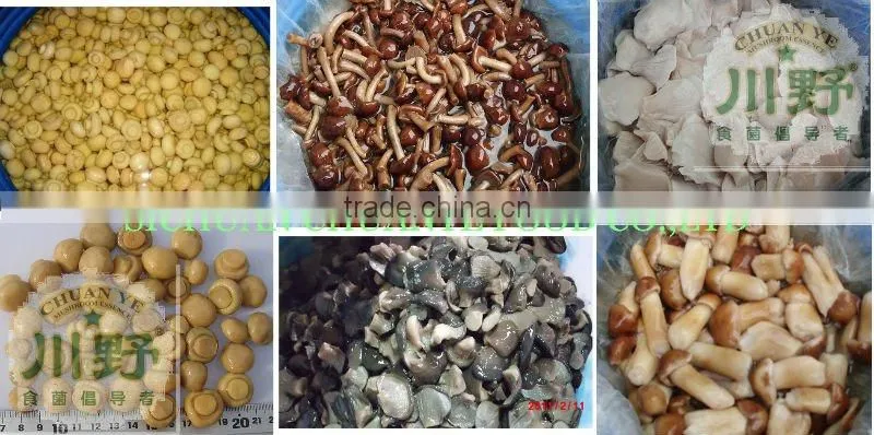 Brined Stropharia Mushroom