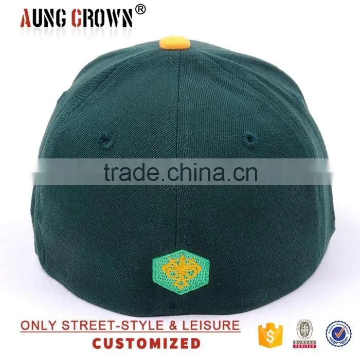 fashion embroidery baseball caps customized logo